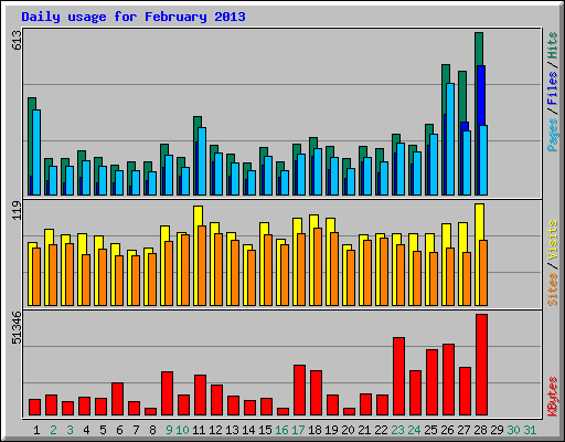 Daily usage for February 2013