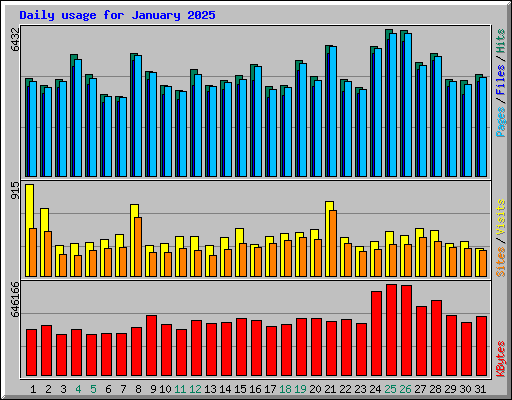 Daily usage for January 2025