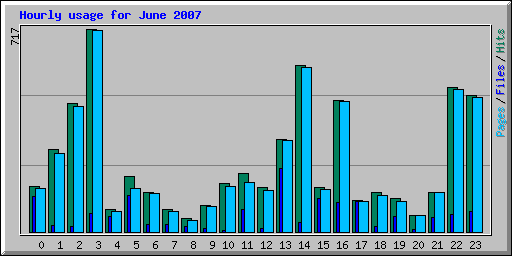 Hourly usage for June 2007