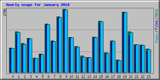 Hourly usage for January 2010