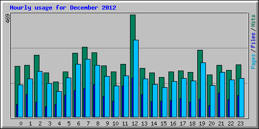 Hourly usage for December 2012