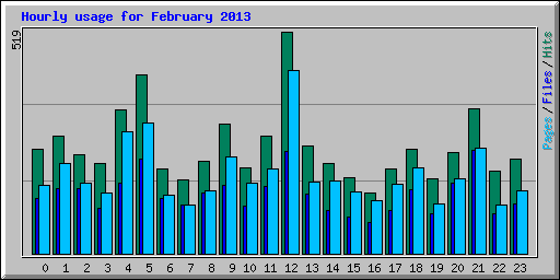 Hourly usage for February 2013