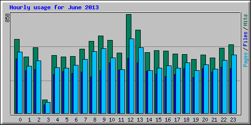 Hourly usage for June 2013