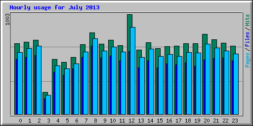 Hourly usage for July 2013