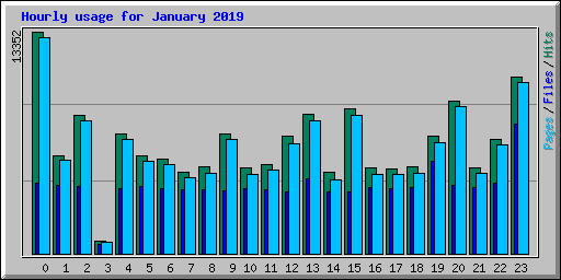 Hourly usage for January 2019