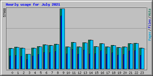 Hourly usage for July 2021