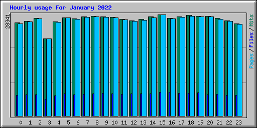 Hourly usage for January 2022