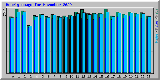 Hourly usage for November 2022