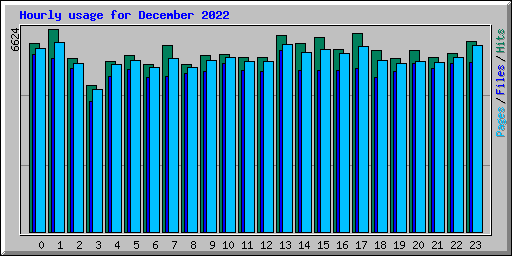 Hourly usage for December 2022