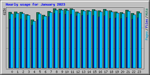 Hourly usage for January 2023