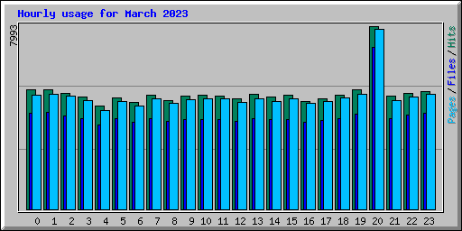 Hourly usage for March 2023