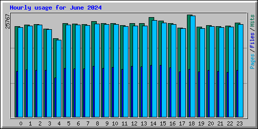 Hourly usage for June 2024