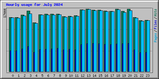 Hourly usage for July 2024