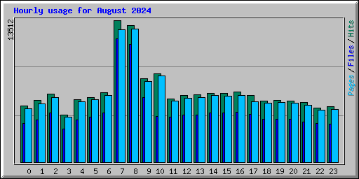 Hourly usage for August 2024