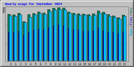 Hourly usage for September 2024