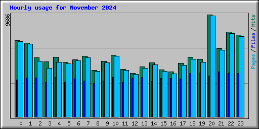 Hourly usage for November 2024