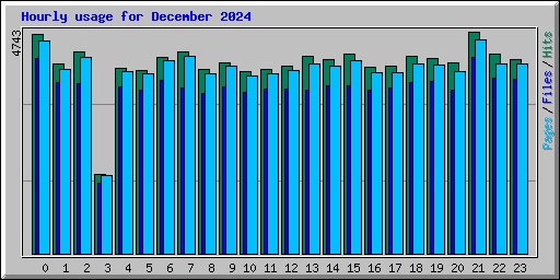 Hourly usage for December 2024