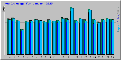 Hourly usage for January 2025