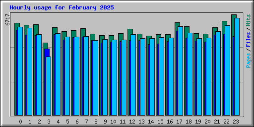 Hourly usage for February 2025