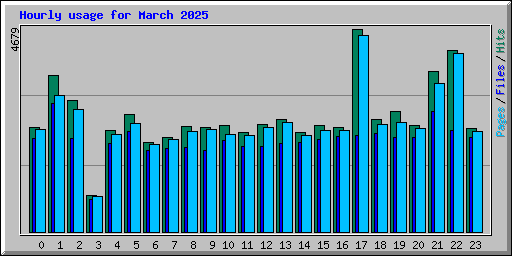 Hourly usage for March 2025