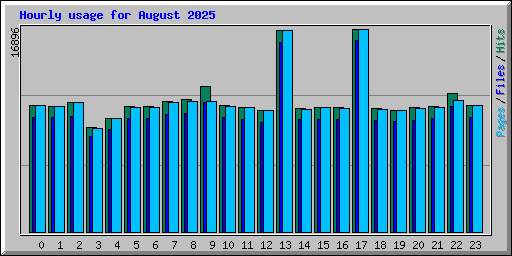 Hourly usage for August 2025