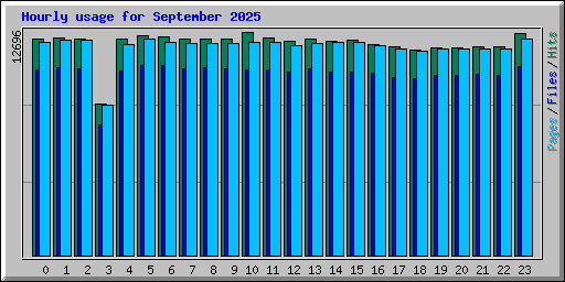 Hourly usage for September 2025