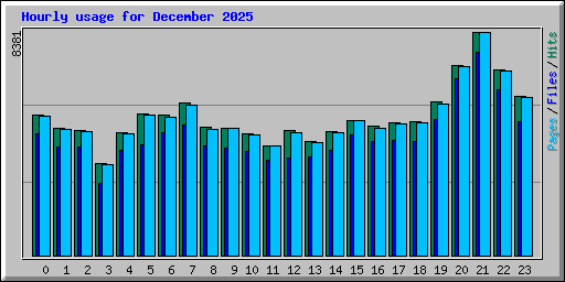 Hourly usage for December 2025